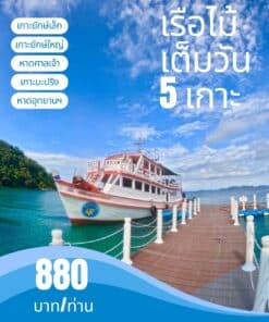 ดำน้ำเกาะช้าง ดำน้ำหมู่เกาะรังเรือไม้เต็มวัน 5 เกาะ