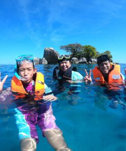 ดำน้ำหมู๋เกาะรัง