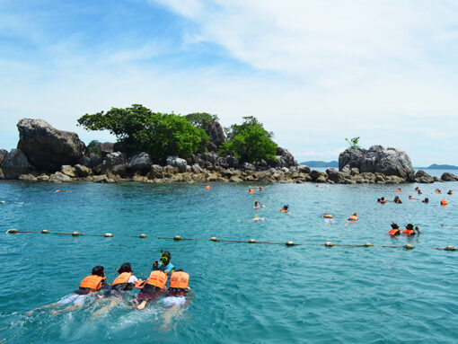 ดำน้ำหมู๋เกาะรัง