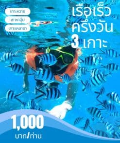 ดำน้ำเกาะหวาย เกาะคลุ้ม เกาะเหลายา
