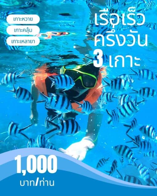 ดำน้ำเกาะหวาย เกาะคลุ้ม เกาะเหลายา