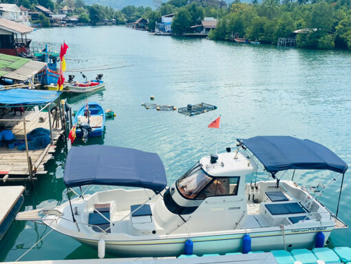 ตกหมึกเกาะช้าง